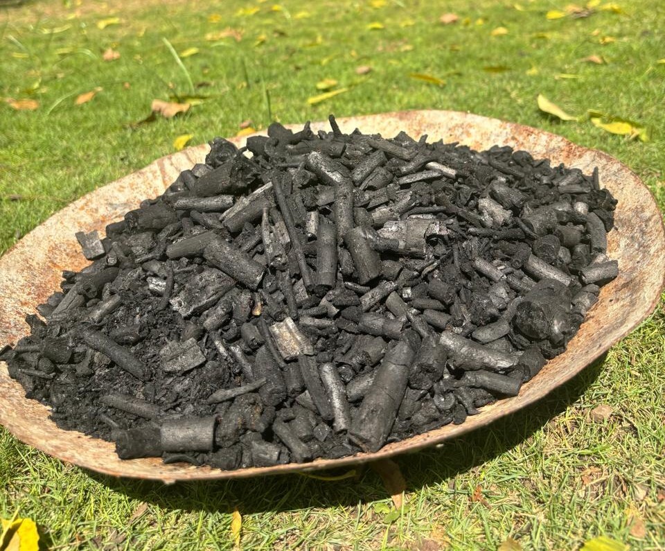 Biochar sample in a shallow tray at a project site